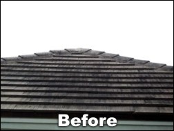 Shingled roof cleaning before
