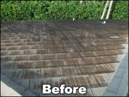 Shingled-roof before cleaning